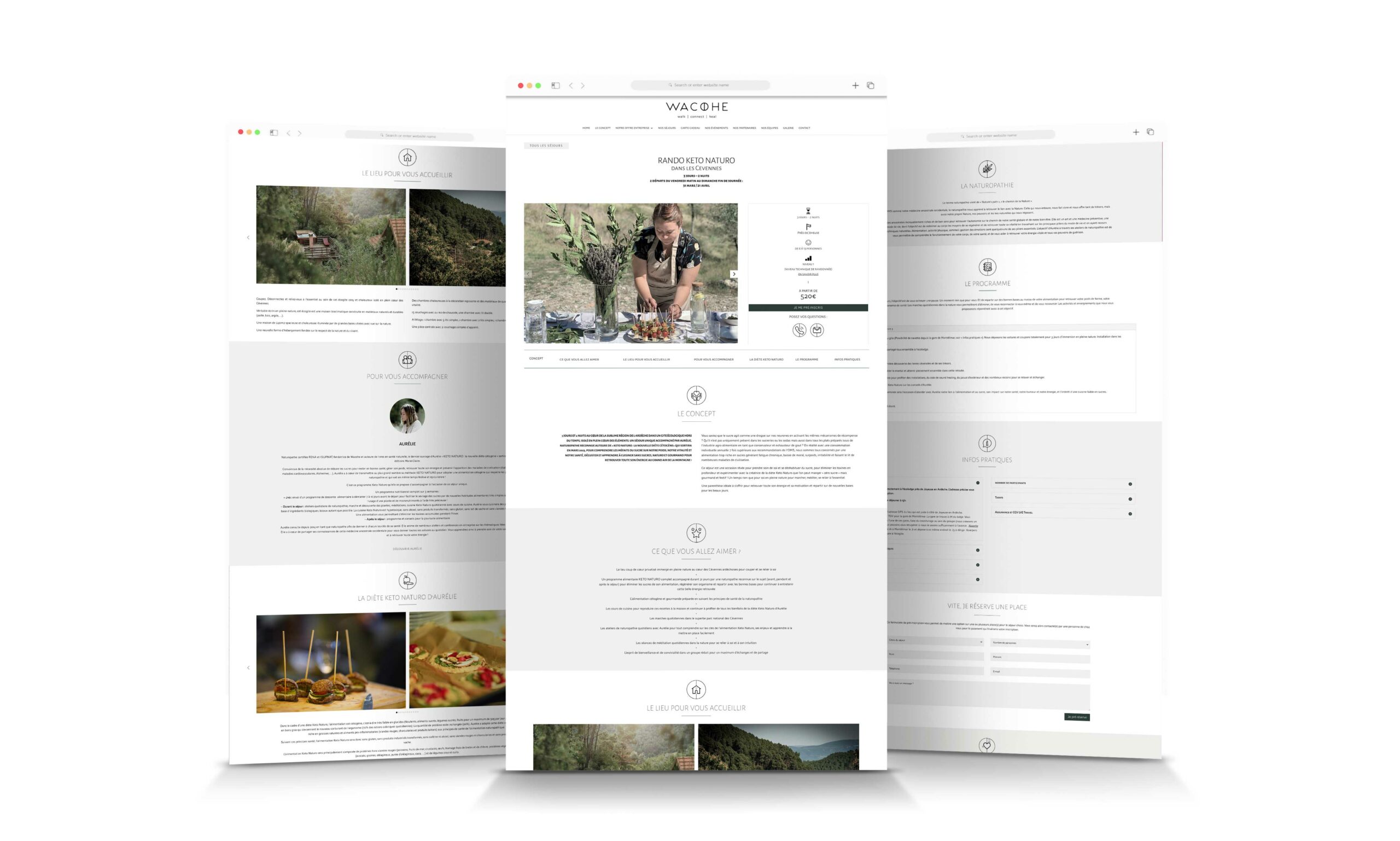 template-web-wacohe