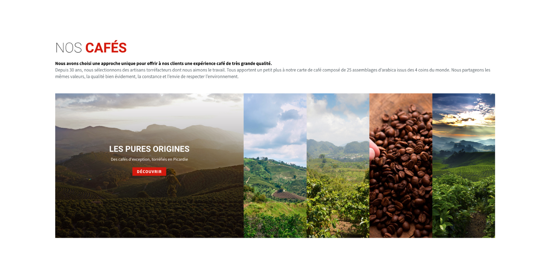 visuel-action-cafe-4